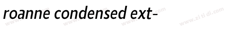 roanne condensed ext字体转换